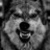 Spirit Wolf's avatar