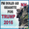NH_FOR_TRUMP's avatar NH_FOR_TRUMP's avatar