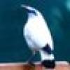 Grant Williams's avatar Grant Williams's avatar