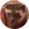 Travis Ruger's avatar Travis Ruger's avatar