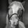 MrEd's avatar MrEd's avatar