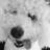 Harry Larris's avatar Harry Larris's avatar