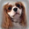 beckyhmn's avatar beckyhmn's avatar