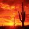 Arizona Retweet's avatar Arizona Retweet's avatar