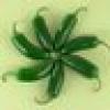 sjcarl's avatar sjcarl's avatar