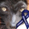 J. Susan Billingsley's avatar J. Susan Billingsley's avatar
