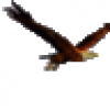 Day of the Eagle's avatar Day of the Eagle's avatar