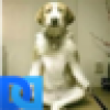 Anna Mills's avatar Anna Mills's avatar