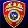 Suffolk County PD's avatar