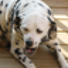 βπM. T.πβππ¨'s avatar βπM. T.πβππ¨'s avatar