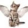 ❤🇺🇸😺AngelKitty😺🇺🇸❤'s avatar