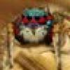 Zhi Zhu's avatar Zhi Zhu's avatar