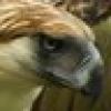 Precious Liberty's avatar Precious Liberty's avatar