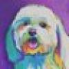vlh π's avatar vlh π's avatar