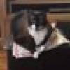 JR Buckley ๐ณ๏ธโ๐โ๏ธ๐๐'s avatar JR Buckley ๐ณ๏ธโ๐โ๏ธ๐๐'s avatar