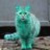 Baka Guy's avatar Baka Guy's avatar