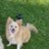 sharonskisss's avatar sharonskisss's avatar