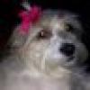 Valerie Marich's avatar Valerie Marich's avatar