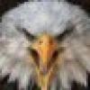 The Liberty Speaks's avatar The Liberty Speaks's avatar