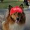 Lyn a Nationalist ๐บ๐ธ ๐ฎ๐ฑ ๐ท's avatar Lyn a Nationalist ๐บ๐ธ ๐ฎ๐ฑ ๐ท's avatar