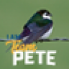 tweeter's avatar tweeter's avatar