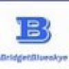 Bridget Blueskye's avatar Bridget Blueskye's avatar
