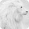 LionsOmega's avatar LionsOmega's avatar