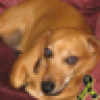 Don Farry's avatar Don Farry's avatar