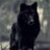 BadWolf303 ๐บ๐ธ๐โผ๏ธ's avatar BadWolf303 ๐บ๐ธ๐โผ๏ธ's avatar