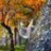 Shirley Baldwin's avatar Shirley Baldwin's avatar