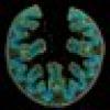 Susan Todd's avatar Susan Todd's avatar