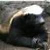 mitou68's avatar mitou68's avatar