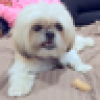 Cutie1-#MAGAElite's avatar Cutie1-#MAGAElite's avatar