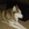 #BuildTheWall's avatar #BuildTheWall's avatar