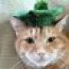 CatsBreath's avatar CatsBreath's avatar