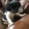 norm de plume's avatar norm de plume's avatar