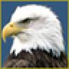Tabitha Stevens8's avatar Tabitha Stevens8's avatar