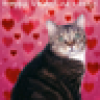 Kitten Underground's avatar Kitten Underground's avatar