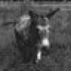 Rural_Liberal_52's avatar Rural_Liberal_52's avatar