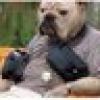 PissedoffVet's avatar PissedoffVet's avatar