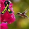 Deb.AsAMom's avatar Deb.AsAMom's avatar