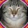 JM Williams (The Fat Tabby)'s avatar