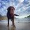 Theona Maximus's avatar Theona Maximus's avatar