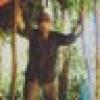 Survivorman's avatar Survivorman's avatar
