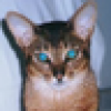 Yves Smith's avatar Yves Smith's avatar