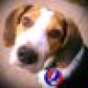 okdeadhead™'s avatar okdeadhead™'s avatar