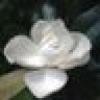 Mary's avatar Mary's avatar