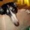 Annyah L Hasler's avatar Annyah L Hasler's avatar