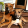 Eileen Dwyer's avatar Eileen Dwyer's avatar