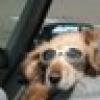 Frankey sez *Bernie's the only one yelling for me!'s avatar Frankey sez *Bernie's the only one yelling for me!'s avatar